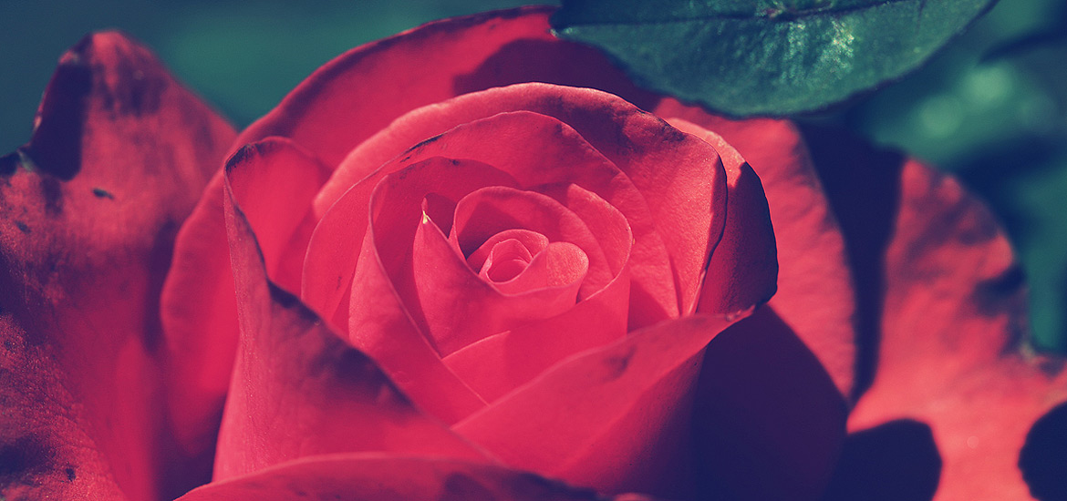 智能资源调度的免费DDOS攻击测试工具